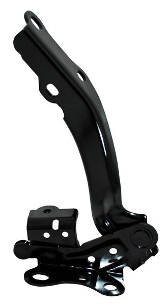 BISAGRA COFRE CAMRY 18-24 IZQ