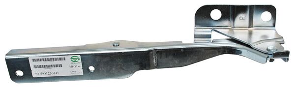 BISAGRA COFRE FORD PU 09-14 *****2 DER