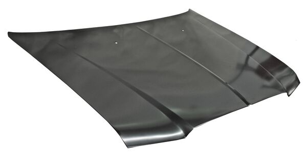 COFRE CHRYSLER 300 6 CIL/ 300C 05-10 METAL ***** FN7.4