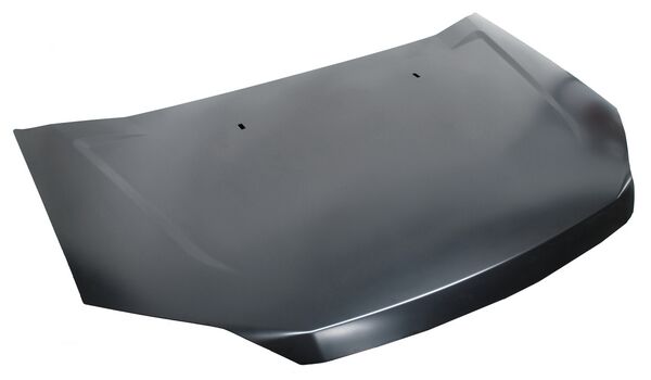 COFRE ECOSPORT 08-12 TYG BBB.63.8 1980.08