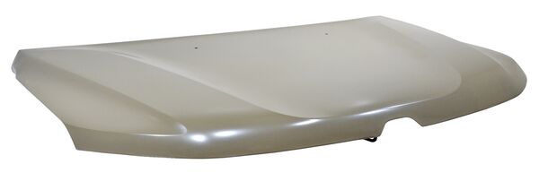 COFRE DUSTER 21-24 452 2280.10