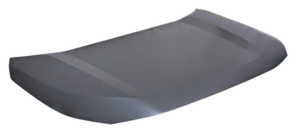 COFRE RAV4 19-24 METAL GDN 1980.10